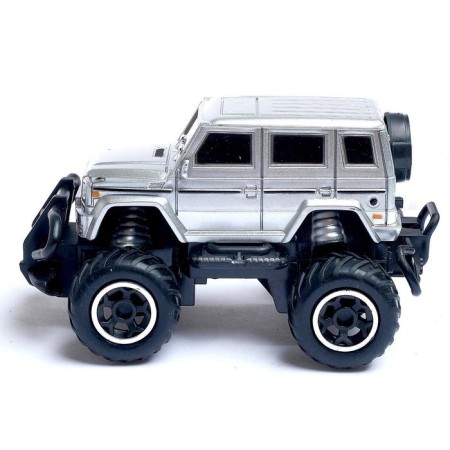 Monster Truck, on the radio control, works on batteries, the color is gray-1