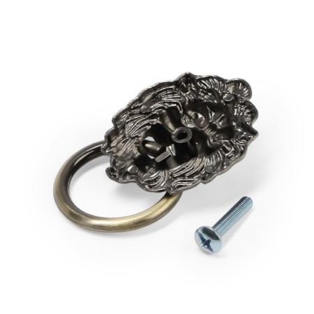 Cappio Lion pen pen, bronze color-5