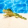 Decor for the Aquarium "Crocodile", 20 x 7.5 x 3 cm