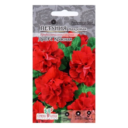 Flowers of Petunia "Red", Terry Duo F1, Sem. ALT, c/n, 10 pcs-2