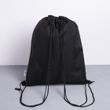 A bag for shoes Roar! polyester, size 30 x 40 cm-2
