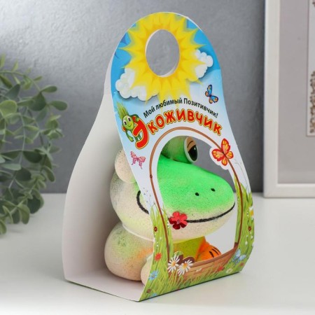 Growing gift Eco -Zhizhivchik "Frog Novik" mix-5
