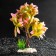 Artificial aquarium plant, 15.5 x 12 x 20.5 cm