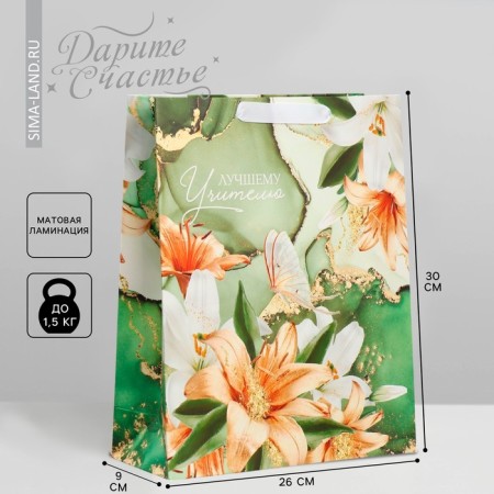 Package Gift Laminated Horizontal, Packaging, “Best Teacher”, M 30 x 26 x 9 cm
