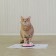 Metal bowl for a cat with a non -slip base Love You, 235 ml, 15x3.5 cm