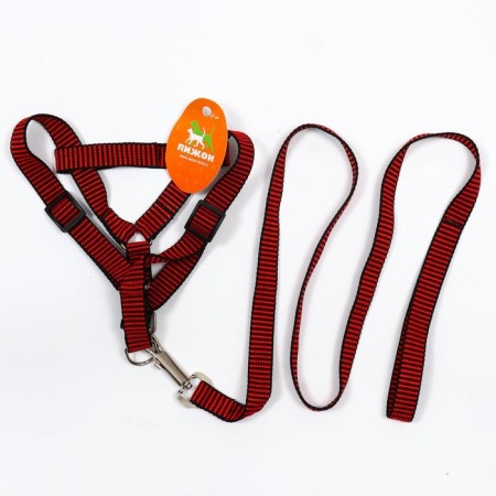 Acunition set is embossed, leash 120 x 2 cm, og 44-50 cm, red-black-6