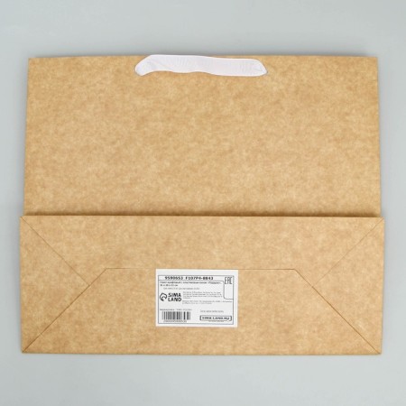 Craft Plaft with a plastic window "Gift", 31 x 26 x 11 cm, New Year-6