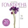 Sukhotzet "Gofreni Sherrovid" set 20 pcs., Color dark violet