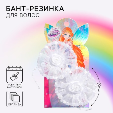 Hair bow, 2 pieces 5.5 cm, Winx