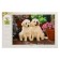 Puzzle "Funny Friends", 1000 elements