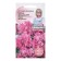 Petunia flowers "Orchid Terry Cascade", 10 pcs