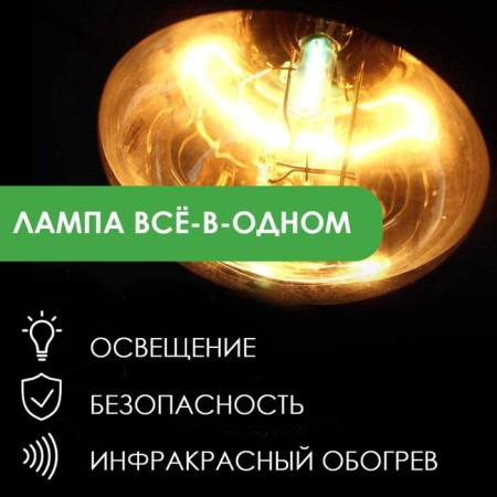 Infrared lamp, 175 watts, E27, R125, hardened glass, transparent-3