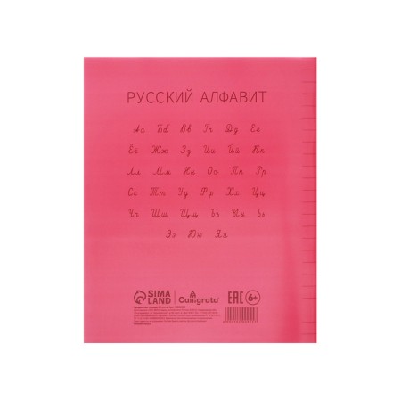 Notebook 24 sheets in the Calligrata "Red" line, plastic cover, with alphabet, OFSET block-5