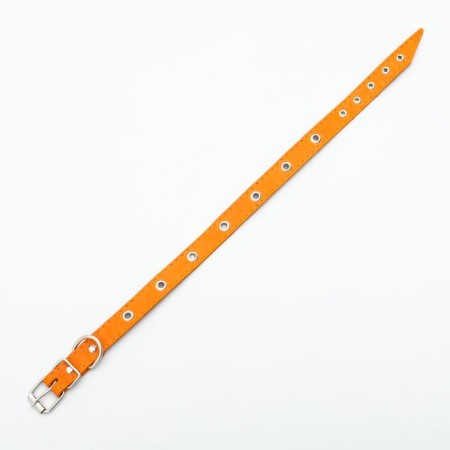 Single-layer leather collar with corrugated eyelets, dimensionless, 50 x 2 cm, Osh 36-44 cm, red 70059-2
