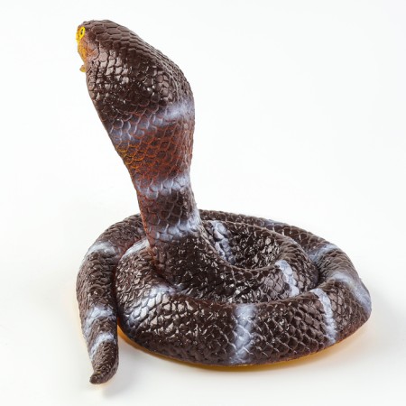 Royal snake "Royal Cobra"-2