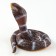 Royal snake "Royal Cobra"