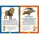 Animals of the world. Photo book for the smallest