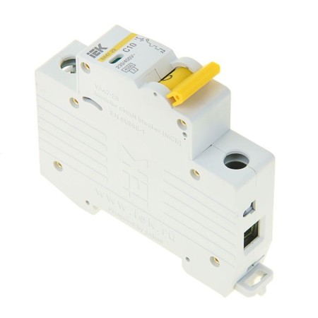 The switch is automatic, single -pole, 10a-2