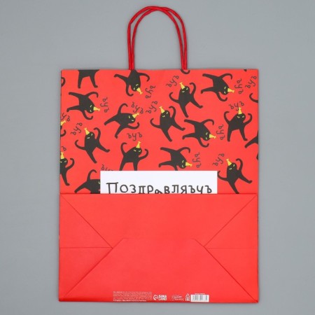 Package Gift Crafts, Packaging, "Congratulations", 28 x 32 x 15 cm-6