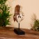 Mask "Hanuman" on a stand, Albezia 30 cm