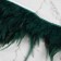 Braid with feathers of a rooster, 10-15 cm, 5 ± 0.5 m, emerald color