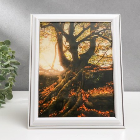 Photo frame 15x20 281s white with silver (plastic screen)-2