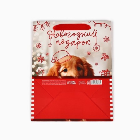 Laminated horizontal "New Year gift", MS 18 x 23 x 10 cm, New Year-5
