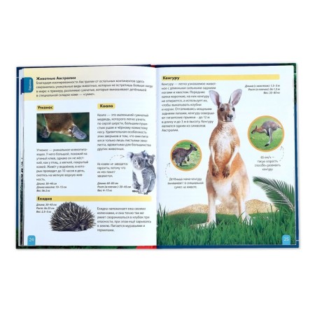 Children's Encyclopedia in solid binding "Animals", 48 p.-4