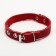 Collar of a single-layer leather unsyted, 1.2 cm, Osh 20-26 cm, mix of colors and types