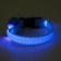 The collar luminous narrow for small dogs, 26 x 1.5 cm, blue
