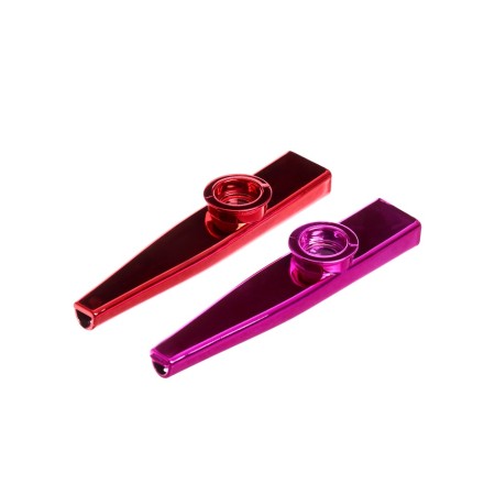 Developing set "Flute CAZA", 2 pcs., Mix-4
