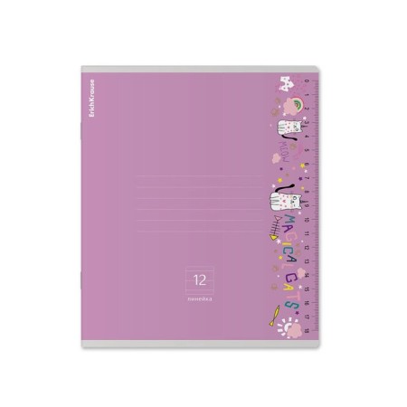 Notebook of 12 sheets in the Erichkrause Ruler Magic line, covered cartoon, block offset, 5V, mix-6