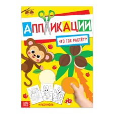 Application with coloring “what is growing where”, 20 pp., A4 format