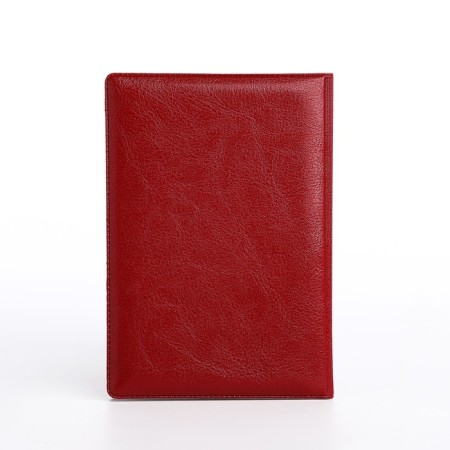 Cover for passport, red color-1