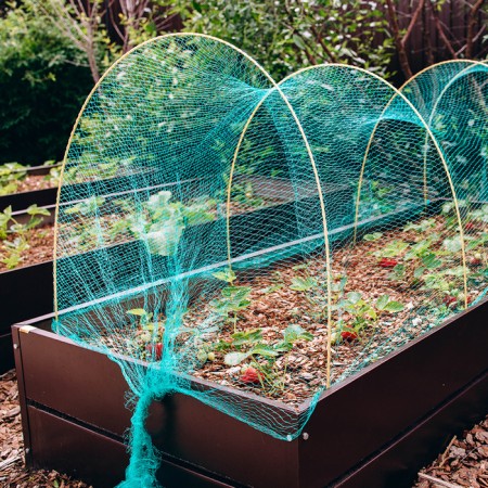 Garden grid, soft, 10 × 2 m, cell 8 × 8 mm, from birds, Greengo-11