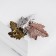 Brooch "Leaves" three oak, color