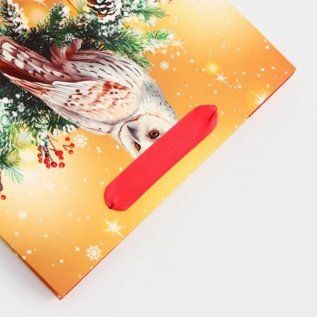 Package Gift New Year's laminated "owl", 23 x 17.8 x 9.8 cm.-2