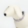 Collar with backlight Leopard 3 glow modes, size S, Osh 22-40 x 2.5 cm white