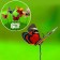 Plug "butterfly Delfius 25cm, set 6pcs, mix