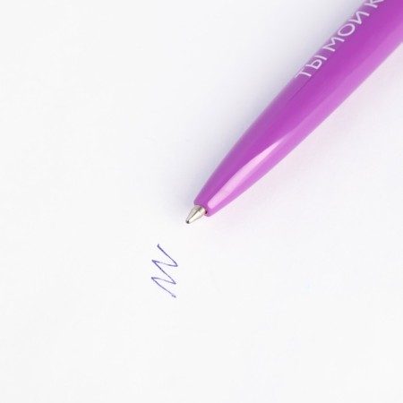 Set in the portfolio: A5 diary, magnetic bookmarks and pen "For those who have paws"-3