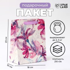 Laminated Packet 