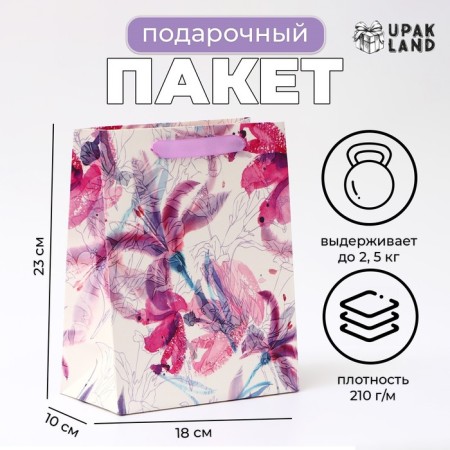 Laminated Packet "Illusions", MS 18 × 23 × 10 cm