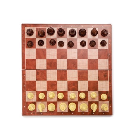 Magnetic chess 24 x 24 cm, King H-4.9 cm, Pig H-2.4 cm-1