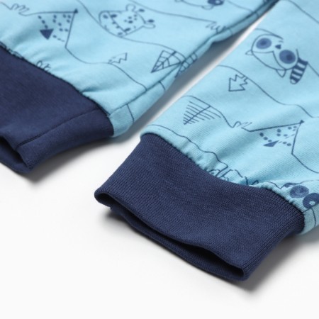 Children's sliders "Antoshka", blue/raccoon color, height 68-2