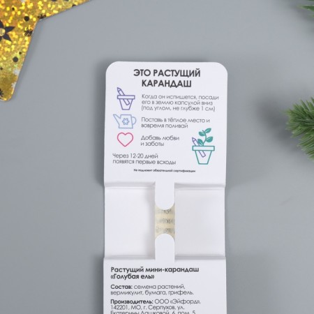 Growing gift pencils Mini "Blue spruce"-3
