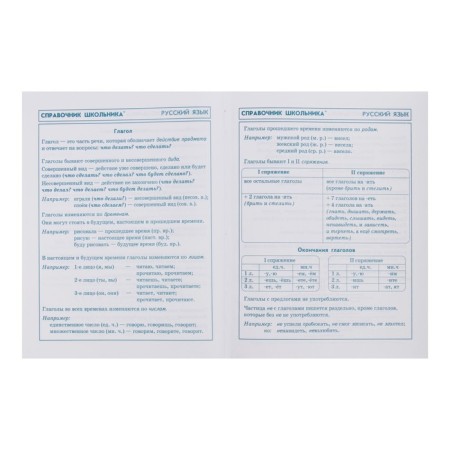 School diary for grades 1-11, "marmalade bear", a solid cover, print on holographic lamination, glossy lamination, an offset block 65g/m2, a universal cheat sheet, 48 sheets-10