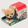 Soft toy "Dog in a booth"
