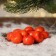 The basis for creativity and decor "Mandarin" set 10 pcs., Size 1 pc: 3.5 × 3.5 × 2.5 cm