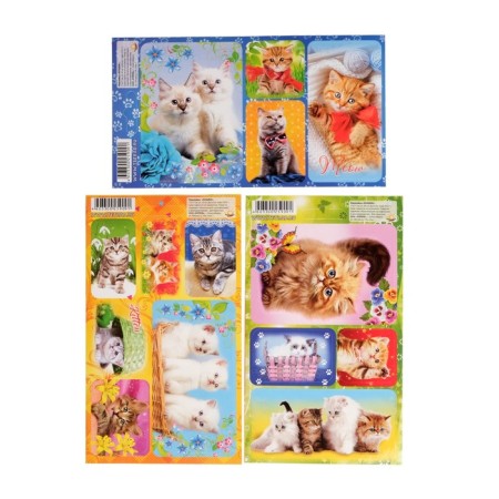 Cat stickers 11 x 17 cm, mix-3
