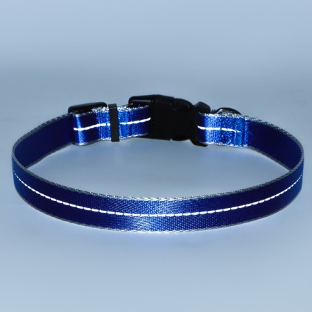 Collar of the reflective "Neon", width 2.5 cm, blue-6